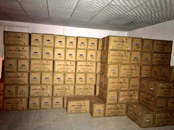 بر أم الساهك توزع 12 ألف كيلو خضار وأرز و 700 كرتون تمر