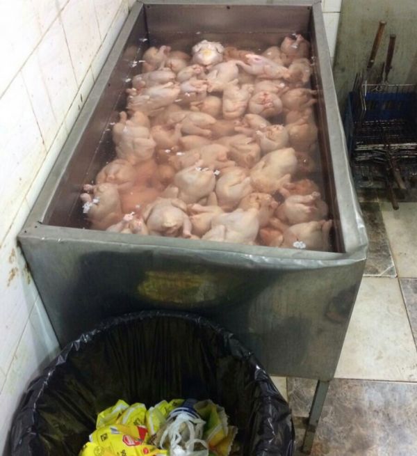 تسجيل 3 اصابات بانفلونزا الطيور بالمزاحمية ورماح
