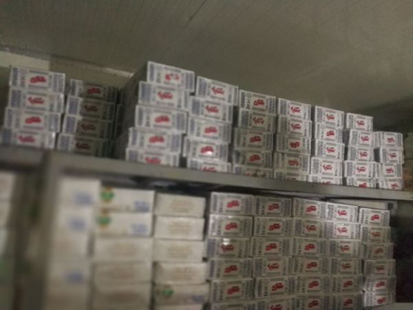تفعيل العلاج بالعمل للمرضى النفسيين بمجمع الأمل للصحة النفسية بتبوك