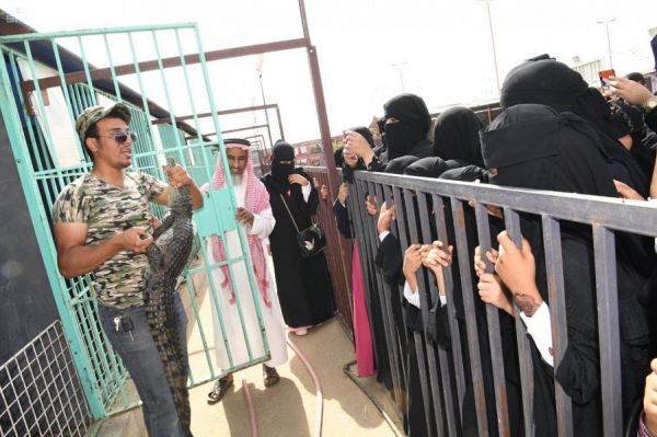 خادم الحرمين الشريفين يجري اتصالاً هاتفيًا بالرئيس المصري