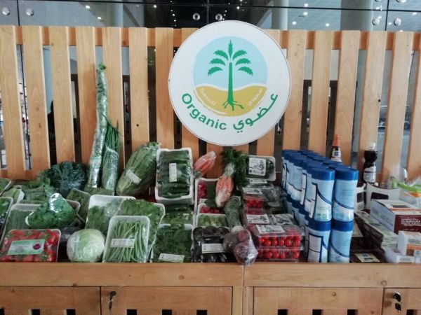 رئيس وزراء البنجاب استقبل إمام وخطيب المسجد الحرام