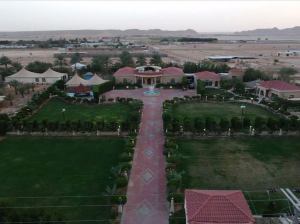 ولي العهد يلتقي المدير التنفيذي لسوفت بنك