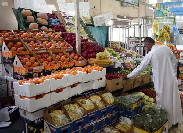 الطيران: وفاة 4 أشخاص إثر سقوط طائرة تابعة للهيئة السعودية للحياة الفطرية بتبوك