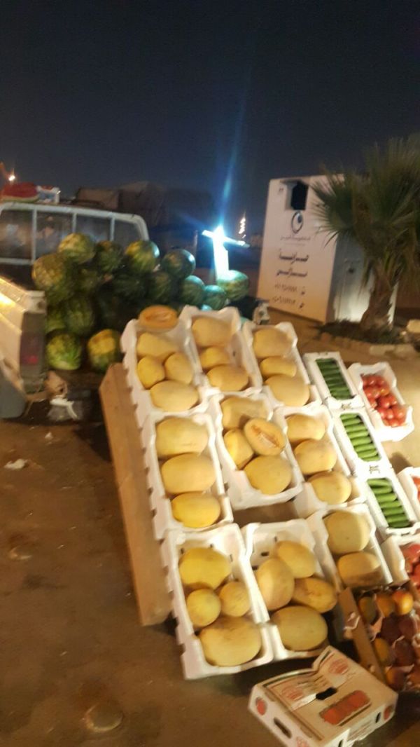 مشروع هدية المدينة المنورة توزع 20 ألف وجبة إفطار يومياً