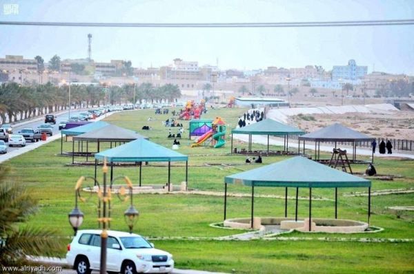 القصبي: تأسيس مجلس للتجارة الإلكترونية يواكب الاهتمام العالمي