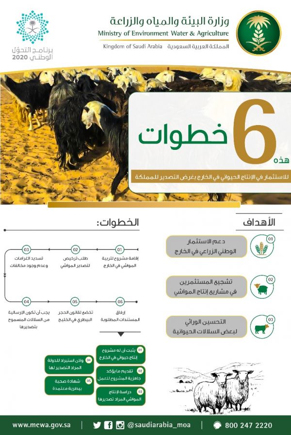 تدشين حملة تعليمي للأشقاء باليمن يوم غداً
