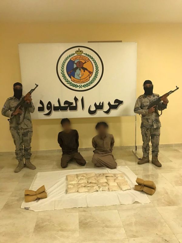 البيئة تكشف عن نجاح زراعة الكاجو بالمملكة