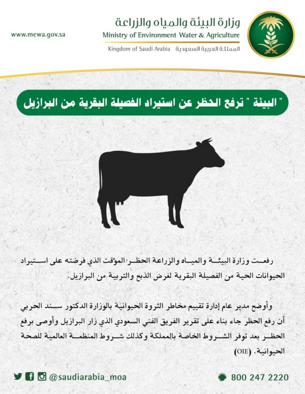 فريق كفاح التطوعي يقيم فعالية بمناسبة اليوم العالمي للصداقة