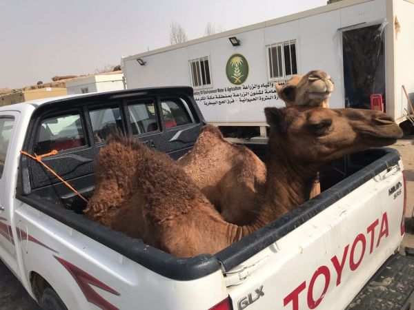 مستشفى اليمامة يقيم فعاليات اليوم العالمي لشرب الحليب