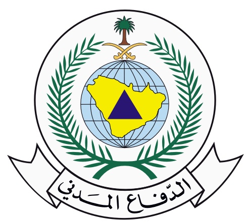 التايكوندو ترسم طريق العالمية