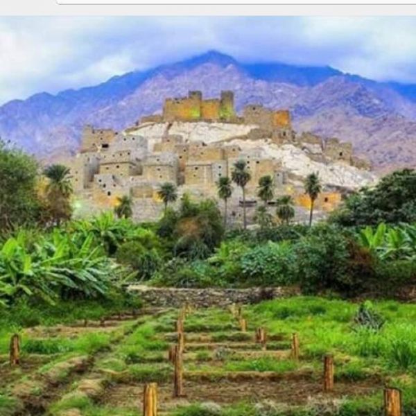 صحة الرياض تشارك بحملة أضحيتي التوعوية