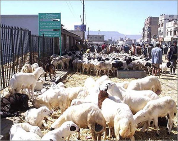السعدان : برامج وخدمات وأنشطة موجهة لخدمة حجاج بيت الله الحرام