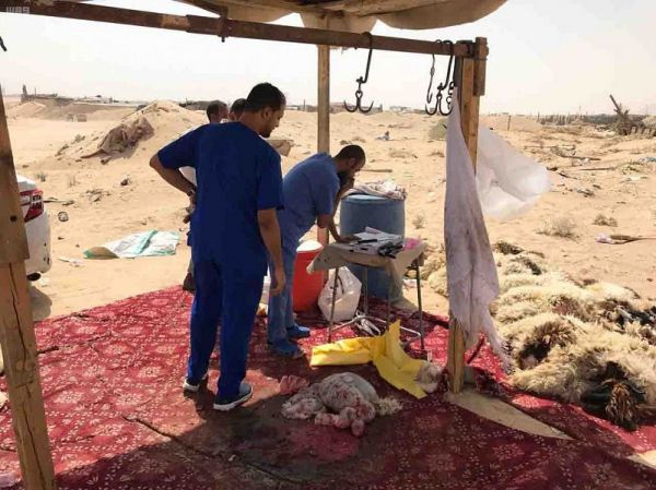خادم الحرمين الشريفين يتلقى اتصالاً هاتفيًا من ولي عهد الكويت