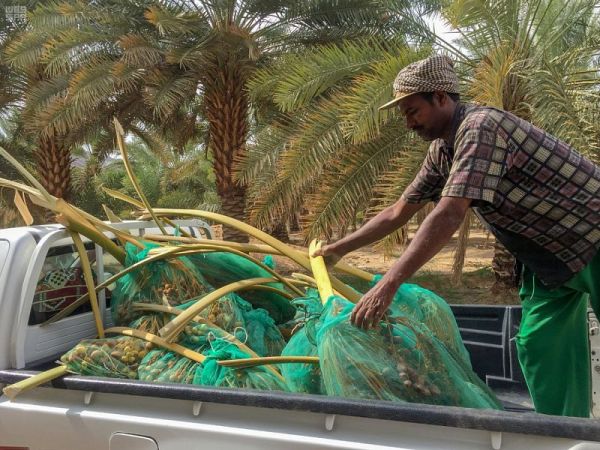 خادم الحرمين الشريفين يهنئ رئيس جمهورية طاجيكستان بذكرى استقلال بلاده