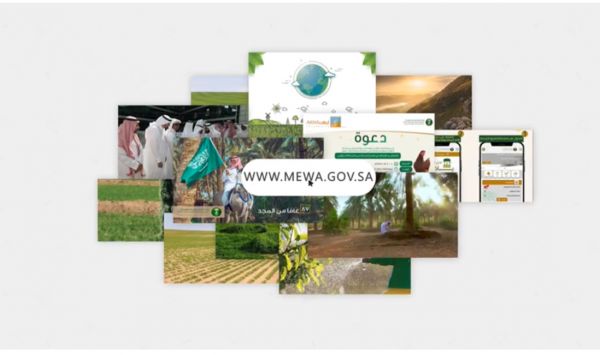 3665 شجرة تم غرسها في 20 موقع بمشاركة 1000 متطوع ومتطوعة بالدمام