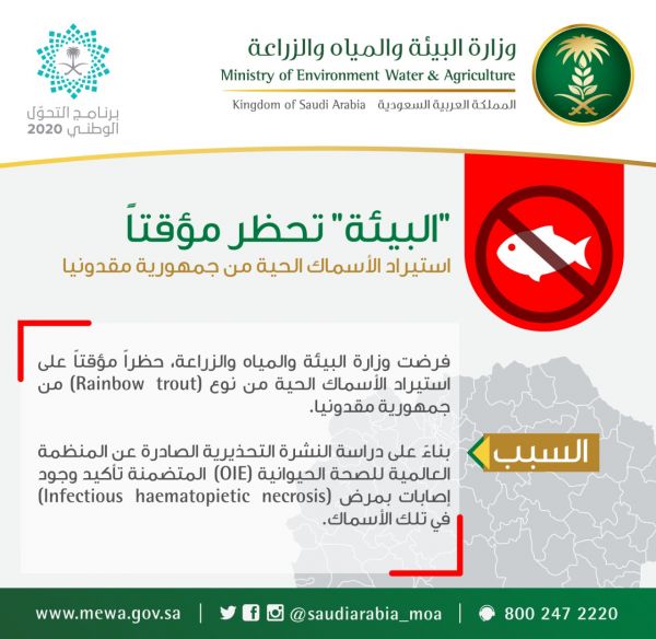 تعليم مكة ينفذ مبادرة منسقة السلامة المدرسية المتميزة
