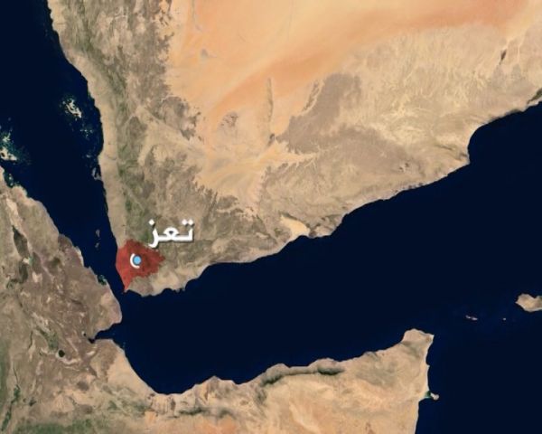 الحمدان : تصريحات سيدي ولي العهد لوكالة بلومبيرغ ترسم الصورة الحقيقية للملفات المحلية
