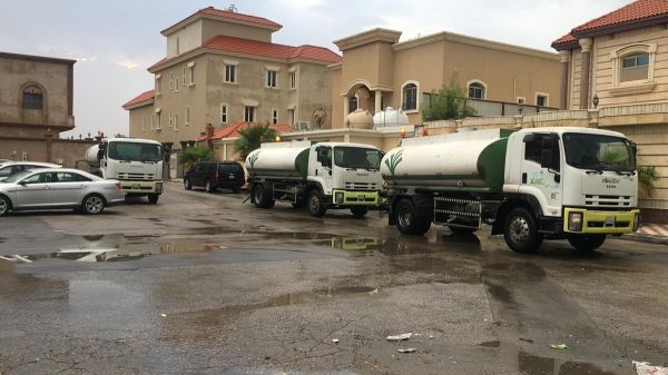 البيئة ترفع الحظر عن استيراد الأبقار والأغنام الحية من أوكرانيا