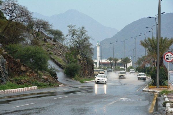 مركز الأبحاث الزراعية في جازان ينفذ تجربة حقلية لنبات الكاجو بمحافظة الليث