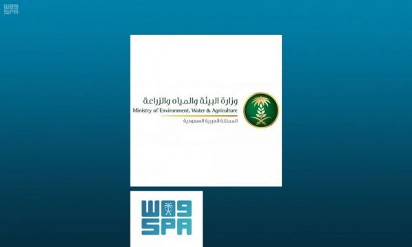 بلدية صامطة تصادر 2936 كيلو جراماً من الأغذية الفاسدة