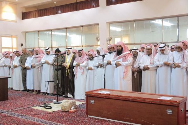 البيئة: 330 ألف هكتار المساحة الإجمالية المسموح بزراعتها بالأعلاف الخضراء
