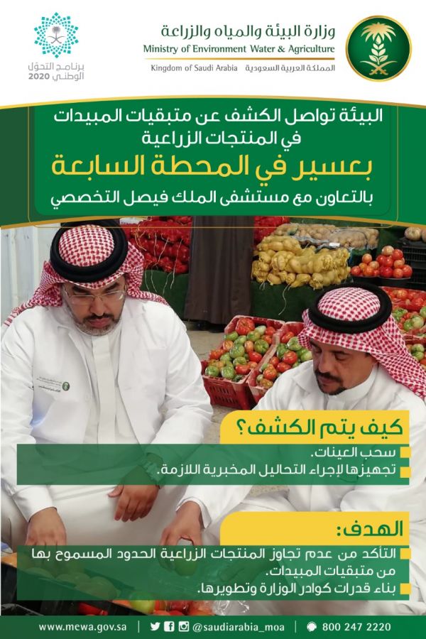 تعليم مكة يطلق الورش التدريبية لأولمبياد الوطني للخط العربي والزخرفة الإسلامية