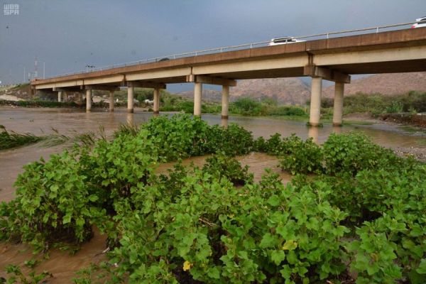 الشريف : منصة إلكترونية لتفويج الحجاج والتطبيق في حج 1440هـ