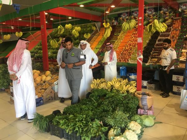 سياحة الباحة تستعرض الاستثمار في المخيمات البيئية
