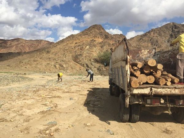 إيجار ينفذ أكثر من 14 ألف جولة على منشآت الوساطة العقارية خلال 10 أشهر