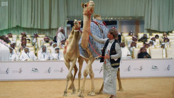 نجران في عهد خادم الحرمين الشريفين .. مشروعات تنموية لتحقيق التنمية