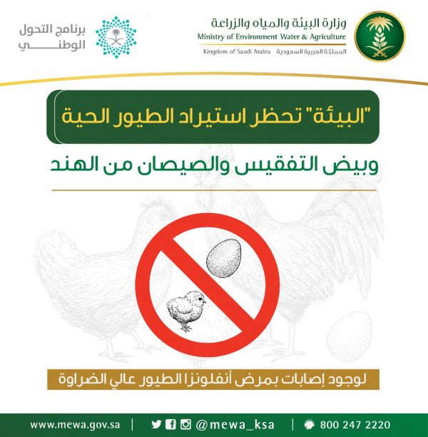 نائب وزير الشؤون الإسلامية يشكر القيادة على الثقة الملكية