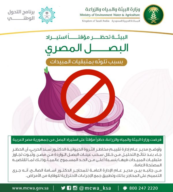 مدير الأمن العام يستقبل أمين مجلس وزراء الداخلية العرب
