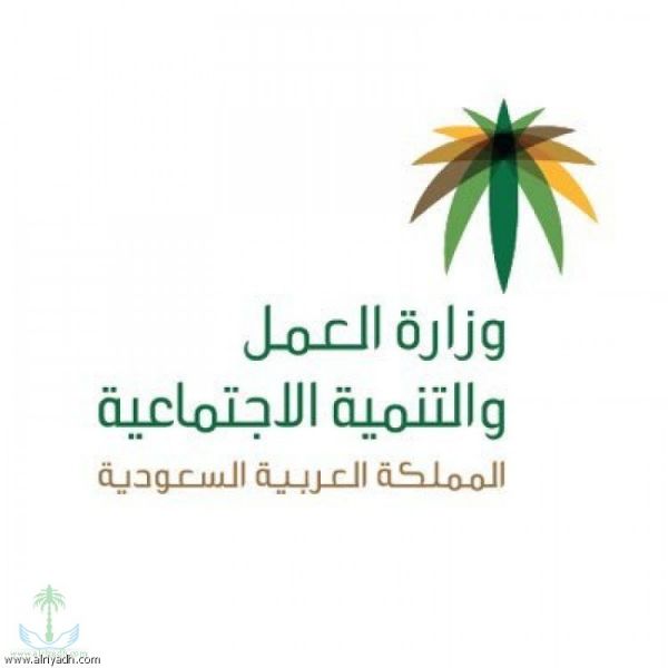 الفالح يدشّن منصة تعدين ويطلق النسخة التجريبية لقاعدة البيانات الجيولوجية الوطنية