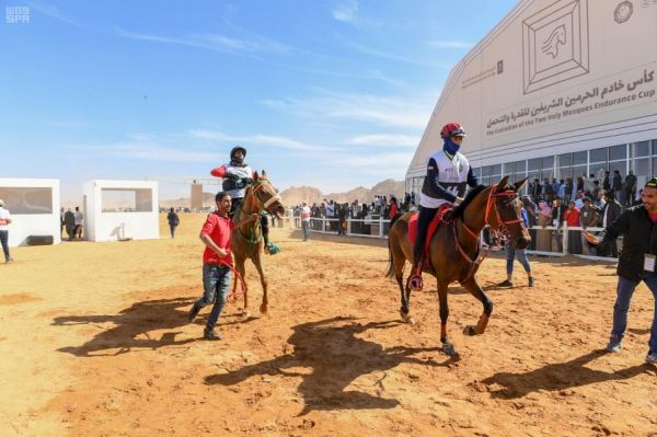 الفارسان الدهامي والمبطي إلى نهائيات كأس العالم لقفز الحواجز بالسويد