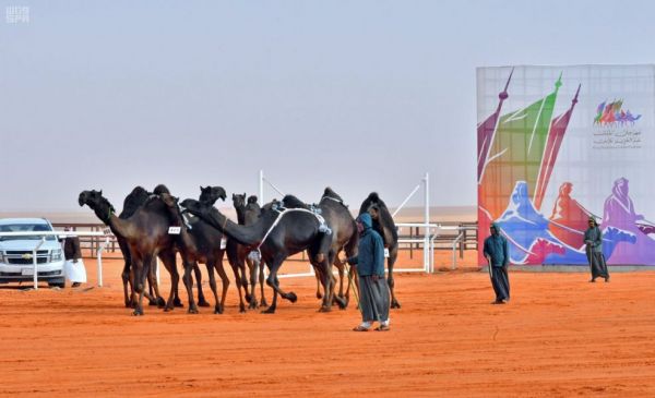 زوار معرض وزارة الدفاع بتبوك يستمتعون بتجربة الرماية في جناح القوات البرية