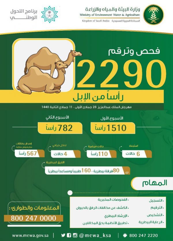 الجيولوجية.. إخضاع المشاريع الإنمائية والتطويرية في حوض وادي إبراهيم لمعايير الاستدامة