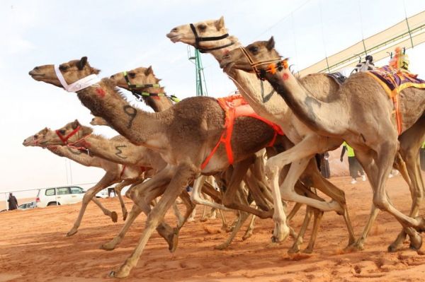 خادم الحرمين الشريفين يعزي رئيس بنجلاديش في ضحايا حريق اندلع في دكا