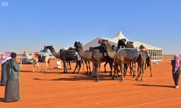 رئيس الجمعية الوطنية الباكستانية : زيارة سمو ولي العهد سيكون لها أثر إيجابي على الاقتصاد الباكستان