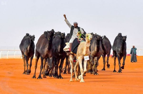 وزير الحج والعمرة يستقبل وزير الشؤون الدينية بجمهورية بنجلاديش