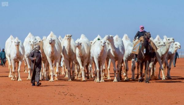 وكيل إمارة الرياض يستقبل مدير المجاهدين بالمنطقة