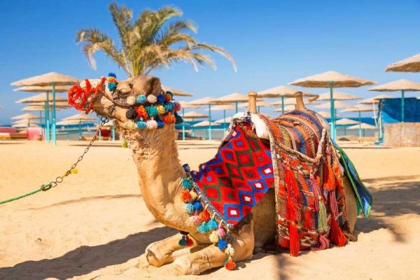 معهد الاقتصاد الإسلامي يُقدم  البرنامج التدريبي بالمصرفية الإسلامية