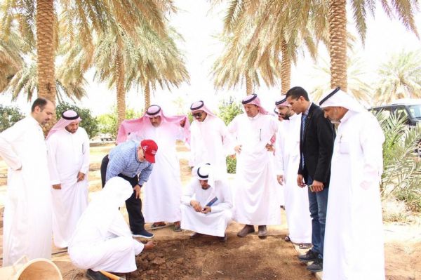 مستشفى الثغر  يقيم فعالية توعوية عن أضرار  مشروبات الطاقة والمحلاة
