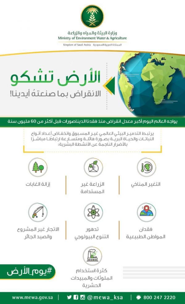 البيئة تعلن ترشيح 65 متقدم ومتقدمة على الوظائف الإدارية