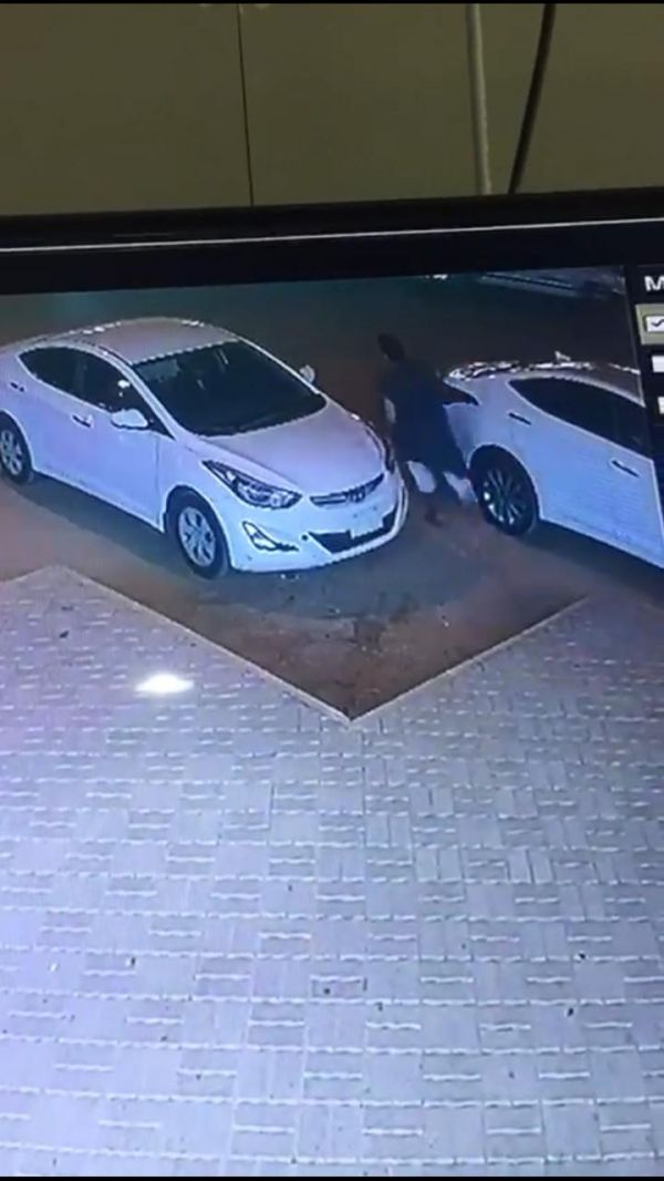 9 مصانع لإنتاج الأسمدة العضوية تدعم تطور قطاع الزراعة العضوية بالمملكة