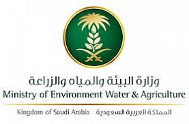 إنسان تقيم حفل المعايدة في 20 فرعا بالرياض ومحافظاتها