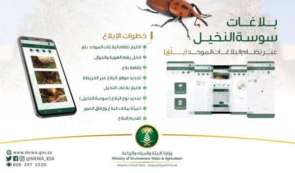 20 مشروعا للصرف الصحي بجدة بقيمة 1.1 مليار ريال