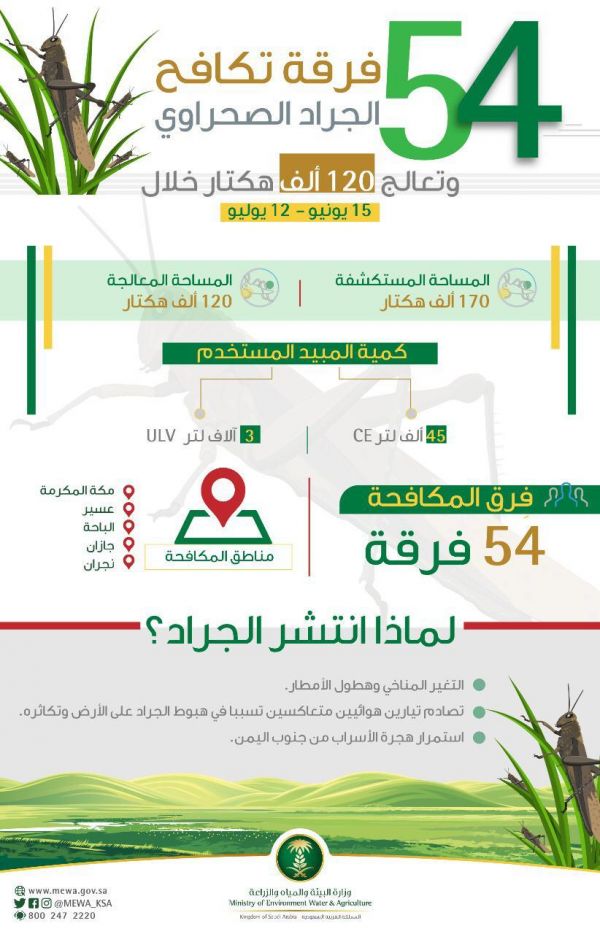 حالة الطقس المتوقعة اليوم الاثنين