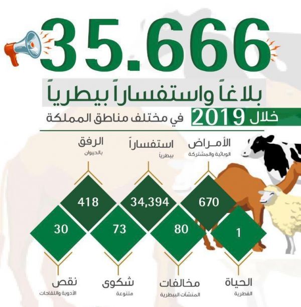 72 فعالية ممتعة تنطلق الثلاثاء المقبل في مهرجان الصحة والرشاقة بوادي الدواسر