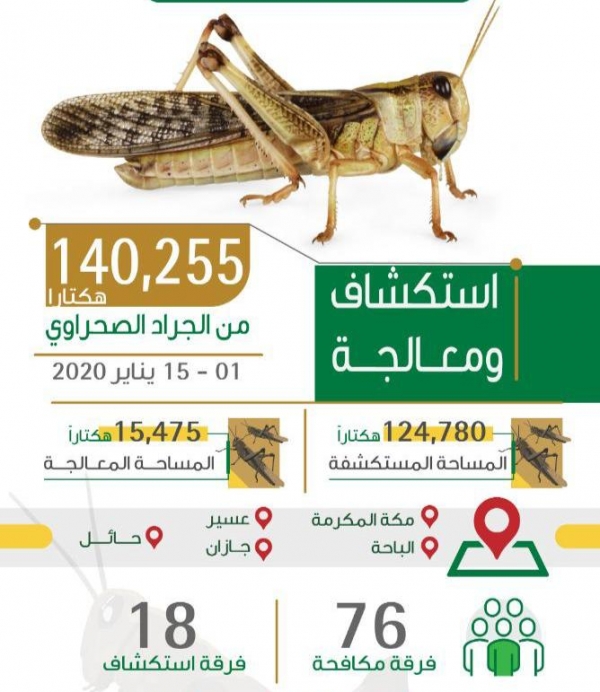 برنامج ربيعنا تطوع يختتم أعماله بـ 7180 ساعة تطوع لخدمة الزوار والمعتمرين بالمسجد الحرام