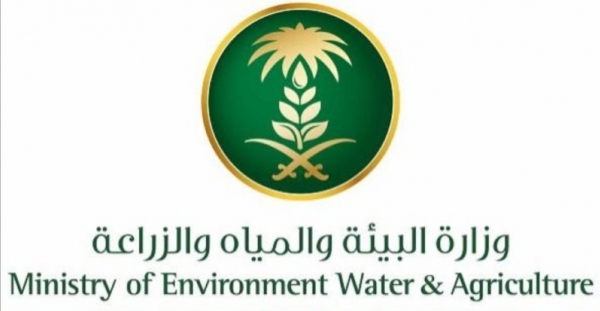 إدارة التدريب والابتعاث بتعليم مكة تطلق 538 برنامجا تشمل 6966 ساعة تدريبية